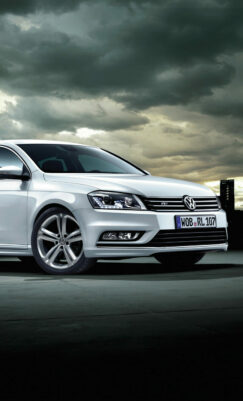 Rabljen Volkswagen Passat - Trebnje