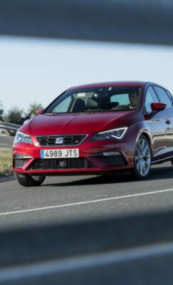 Rabljen Seat Leon - Trebnje