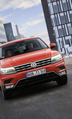 Rabljen Volkswagen Tiguan - Novo mesto